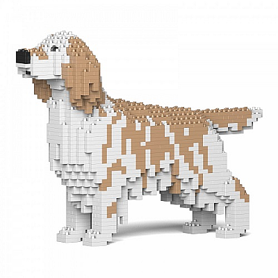 English Setter Jekca Available in 2 Colours & 2 Sizes